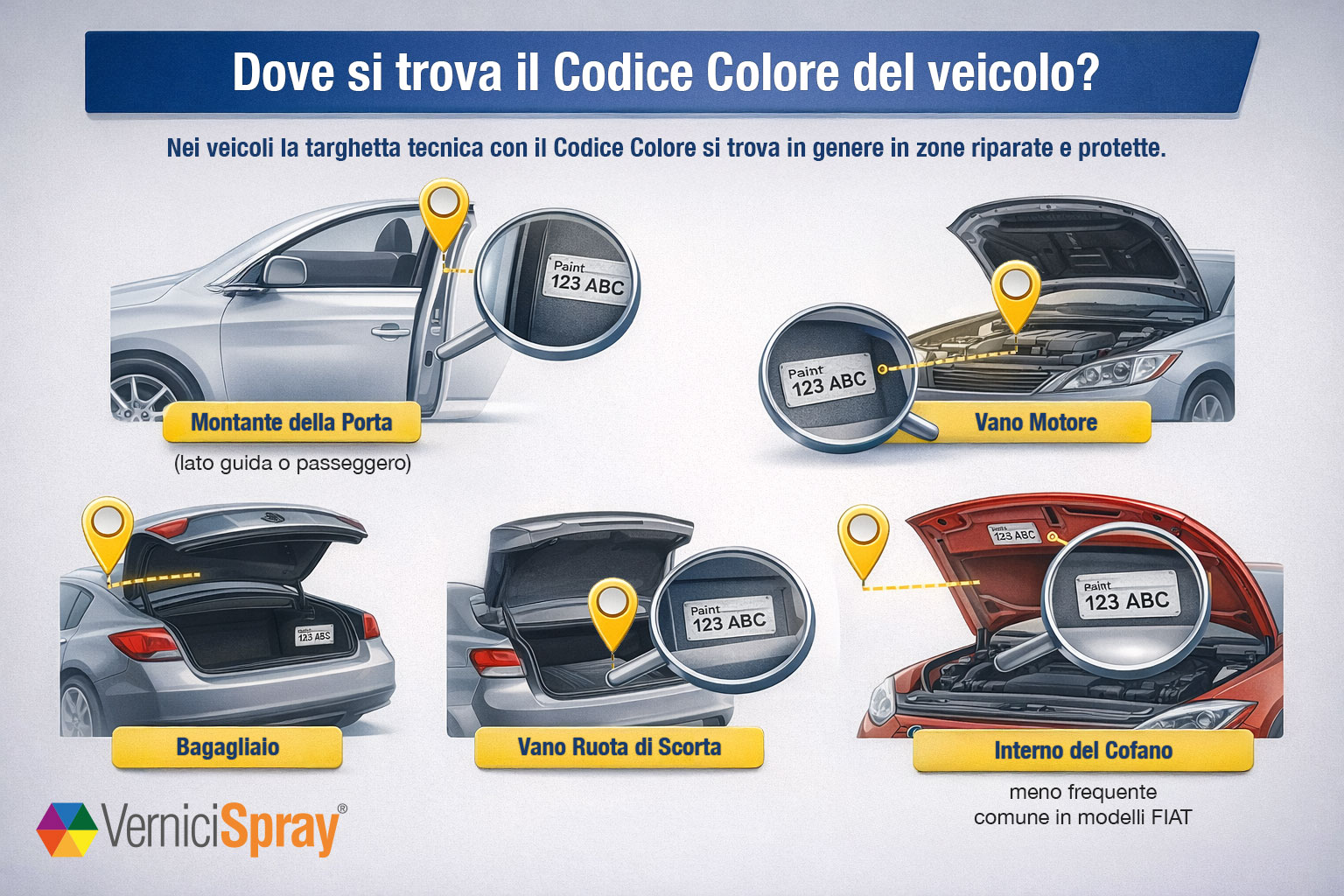 Infografica: dove trovare l'etichetta del codice colore
